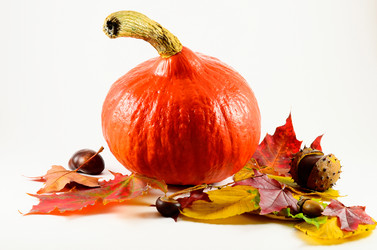 Similar image 844961