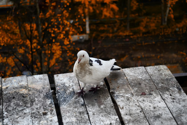 Similar image 844972