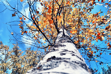 Similar image 844976