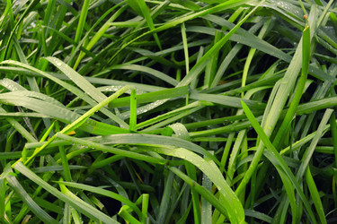 Similar image 844977