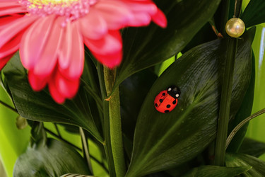 Similar image 844980