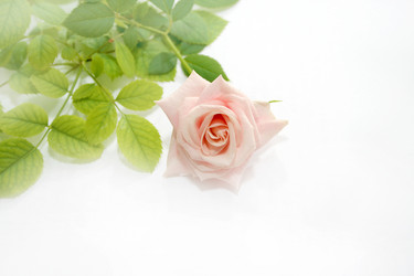 Similar image 845052