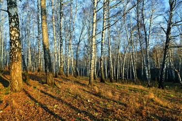 Similar image 845078