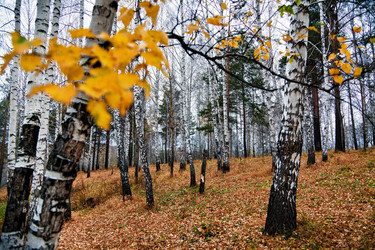 Similar image 845079