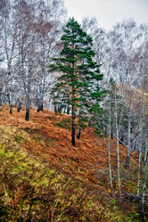 Similar image 845080