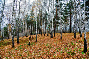 Similar image 845081