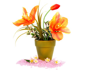 Similar image 845134