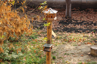 Similar image 845137