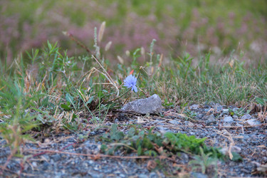 Similar image 845229