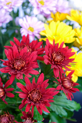 Similar image 845234