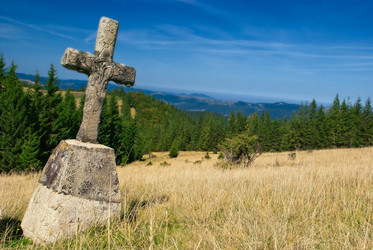 Similar image 845241