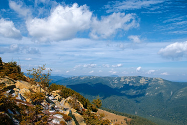 Similar image 845246