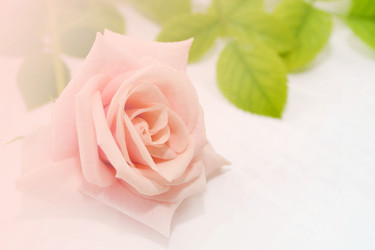 Similar image 845252