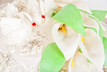 Similar image 845316