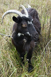 Similar image 845440