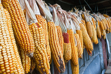 Similar image 845449