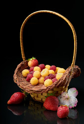 Similar image 845467