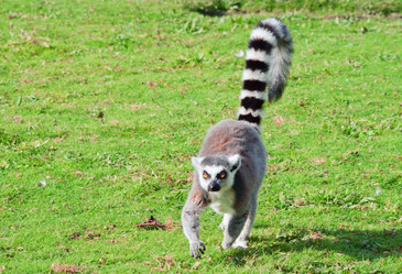 Similar image 845469