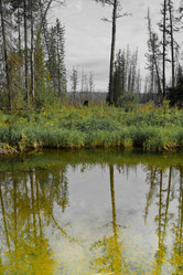 Similar image 845490