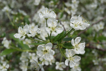 Similar image 845505