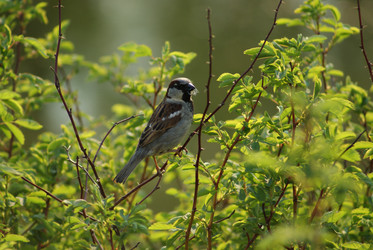 Similar image 845525