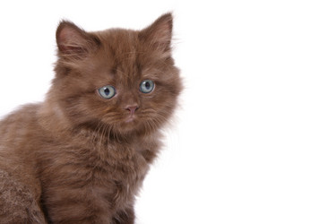 Similar image 845532