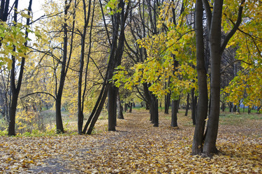 Similar image 845537