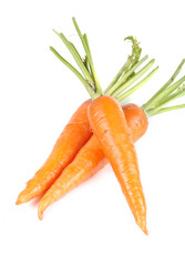 Similar image 845633