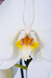 Similar image 845658