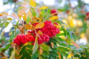 Similar image 845674