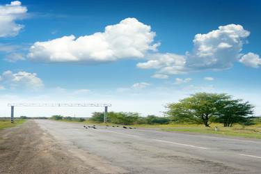 Similar image 845858