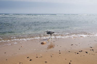 Similar image 845859