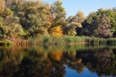 Similar image 845939