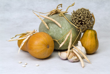 Similar image 845940