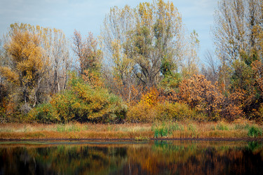 Similar image 845944