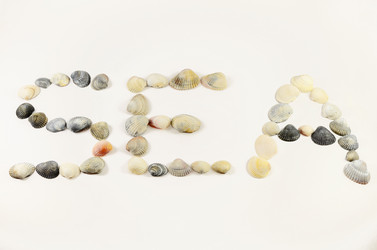 Similar image 845963