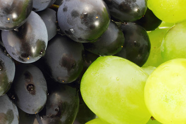 Similar image 845985