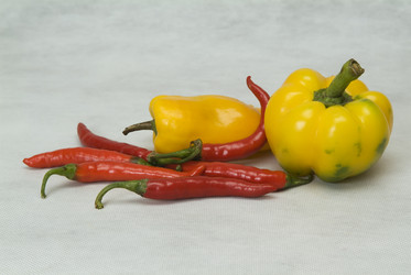 Similar image 846011