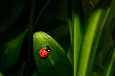 Similar image 846104