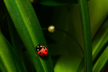 Similar image 846108