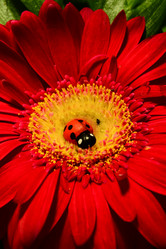 Similar image 846114