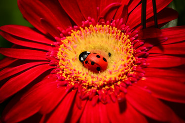 Similar image 846117