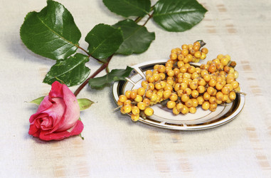 Similar image 846156