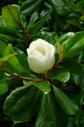 Similar image 846185