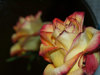 Similar image 846191