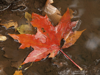 Similar image 846193