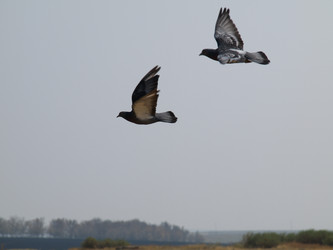 Similar image 846198