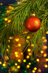 Similar image 846209