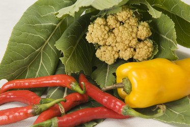 Similar image 846245