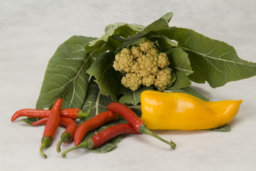 Similar image 846246